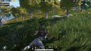 prone pubgm saat 1 vs 1