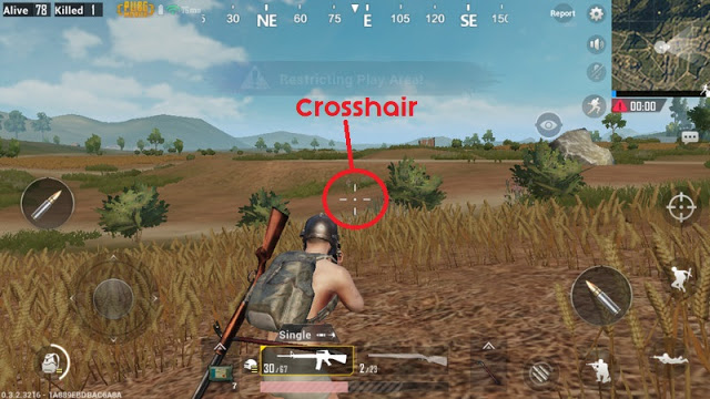 crosshair pada pubg