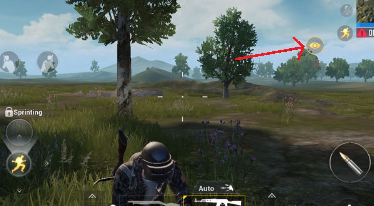 side look pubg