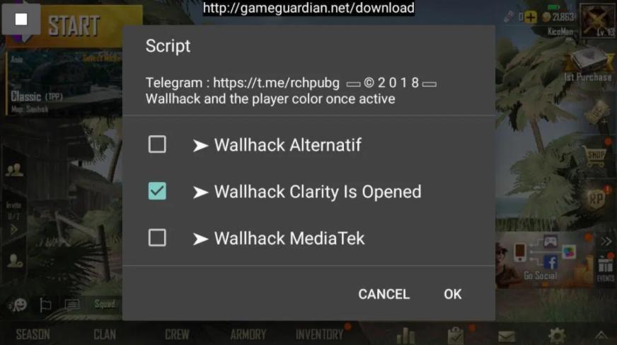 cheat wallhack pubg