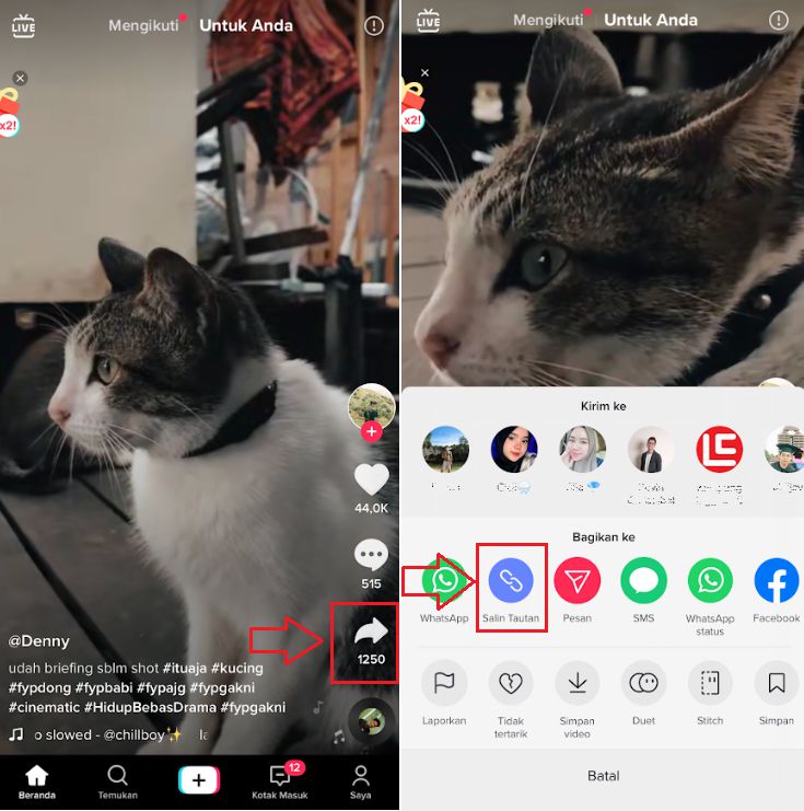 download video tiktok tanpa watermark