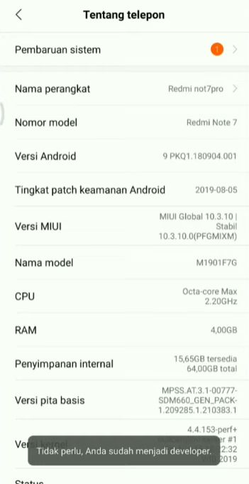 developer option