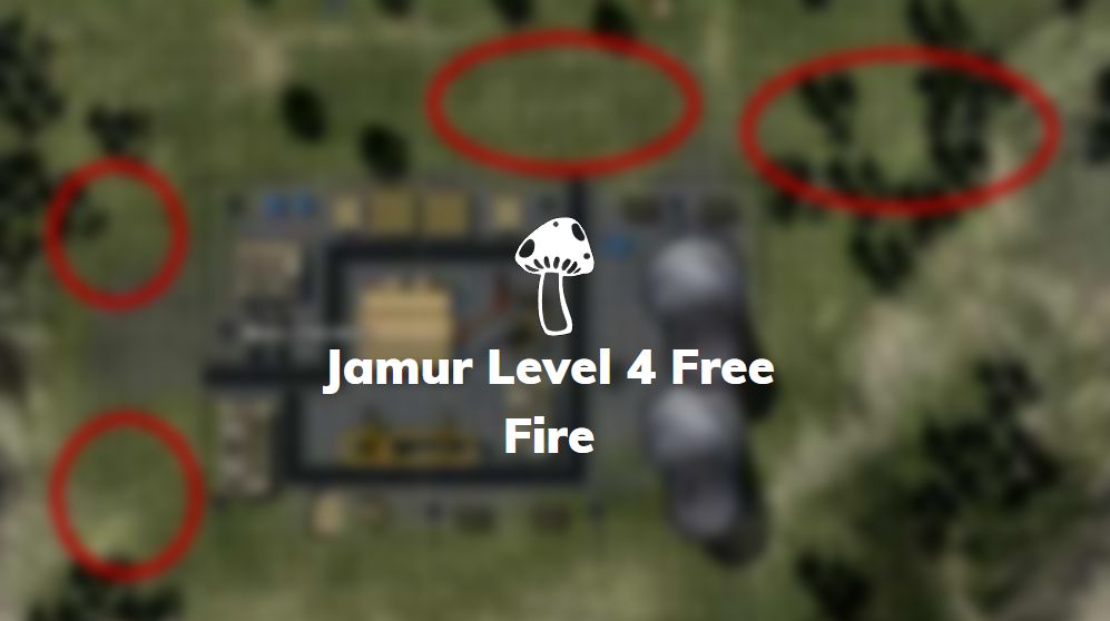 jamur level 4 free fire