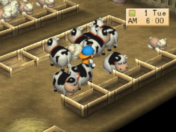 Kandang Sapi Harvest Moon 