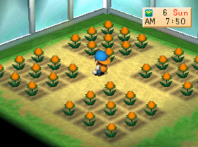 Cheat Bibit Bunga Harvest Moon Back To Nature