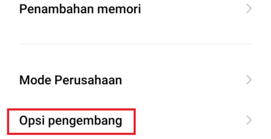 Aktifkan Driver Game Android 11 Dengan Pengaturan Opsi Pengembang
