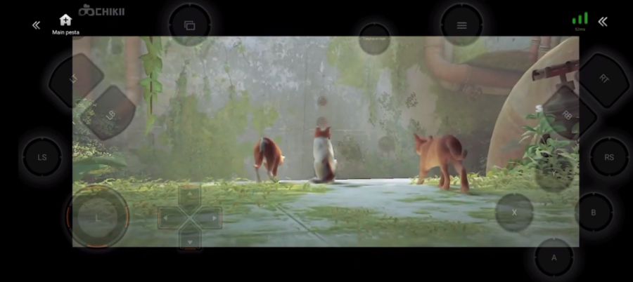 Cara Main Stray di Android